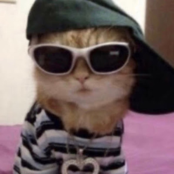 Meet your Posher, Isabelle - Picture 1 of 1